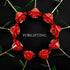 24K Gold Dipped Preserved Roses